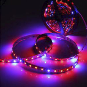 flexible LED light strip