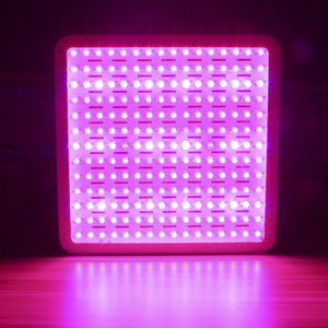 surface-mounted light fixture