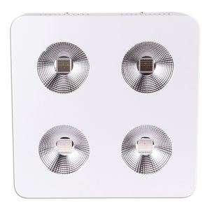 surface-mounted light fixture