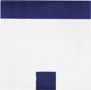 ceramic tile 1