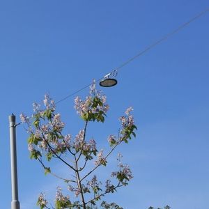 hanging light fixture