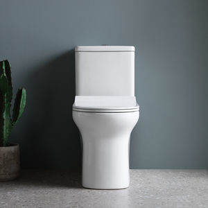 free-standing toilet 1
