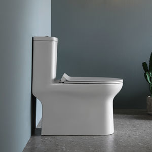 free-standing toilet