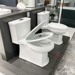free-standing toilet 1