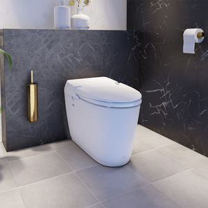 free-standing toilet 1