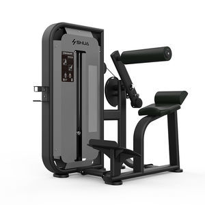 back extension weight training machine