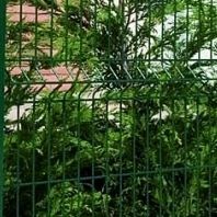 panel fence 1