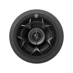 ceiling-mounted speaker