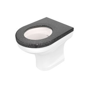 back to wall toilet 1