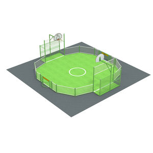 public entity multisport field