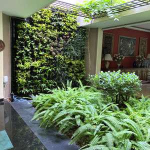 green wall with live plants