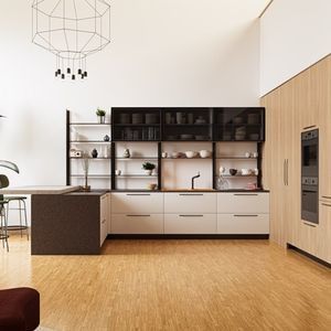 contemporary kitchen