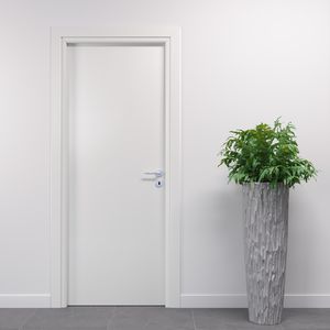 interior door