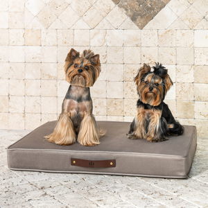pet dogs and cats cushion