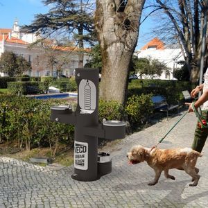 dog drinking fountain