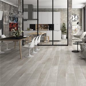 porcelain stoneware tile 1