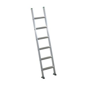 aluminum ladder