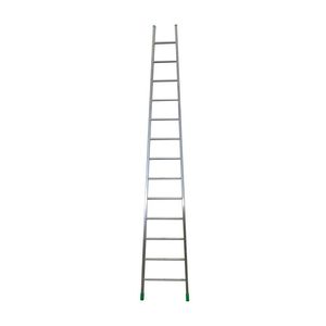 leaning professional ladder 1
