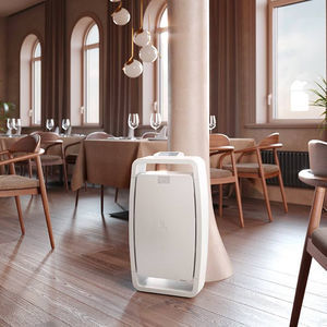 activated carbon air purifier