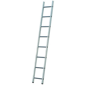 work professional ladder 1