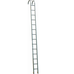work professional ladder