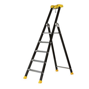 commercial step ladder / contemporary
