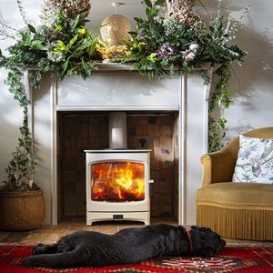 wood heating stove
