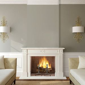 wood-burning fireplace