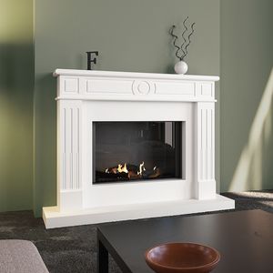 gas fireplace insert