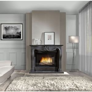 wood-burning fireplace