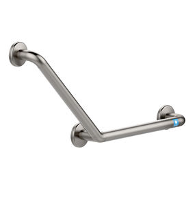 stainless steel grab bar