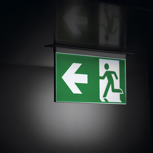 ceiling emergency light 1