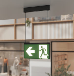 ceiling emergency light 1