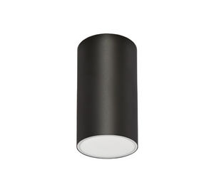 ceiling emergency light 1