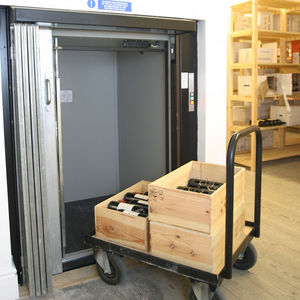 electric goods lift