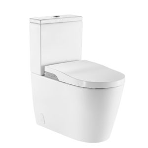 smart toilet