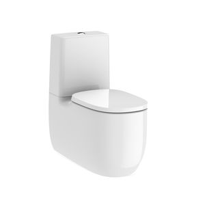 back to wall toilet / ceramic / rimless