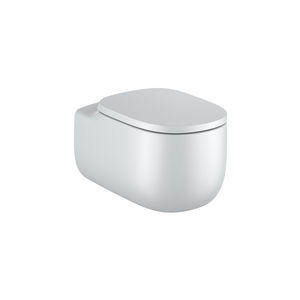 wall-hung WC