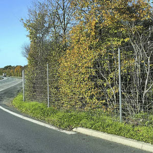 wire mesh fence