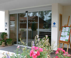 aluminum door profile
