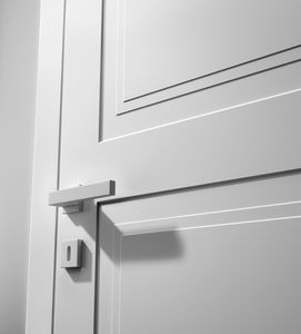 interior door 1
