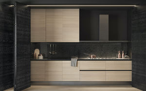 contemporary kitchen