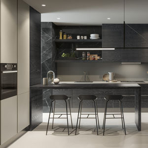 contemporary kitchen