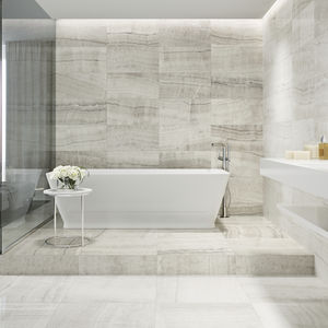 indoor tile / wall / floor / porcelain stoneware