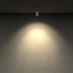 wall-mounted spotlight