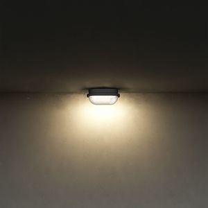 surface-mounted light fixture 1
