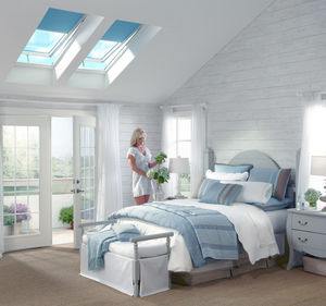 projection roof window