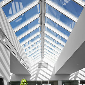 skylight lucernario velux pitched ridgelight oberlicht tetti coperture fumi pendenza dachterrassen inclined
