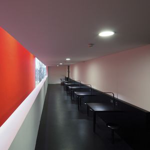 linoleum flooring / non-slip / sound-absorbing / antibacterial