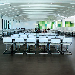 linoleum flooring / tertiary / roll / smooth